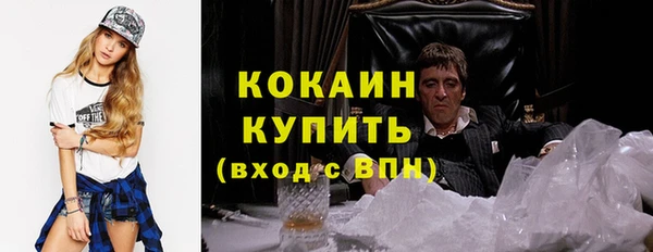 ешки Вяземский