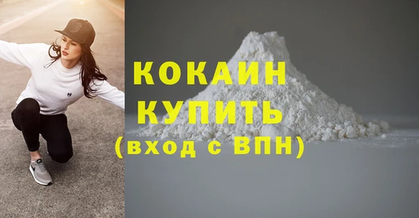 ешки Вяземский