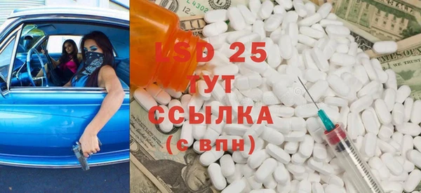 ешки Вяземский