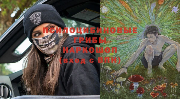 прущие грибы Волосово