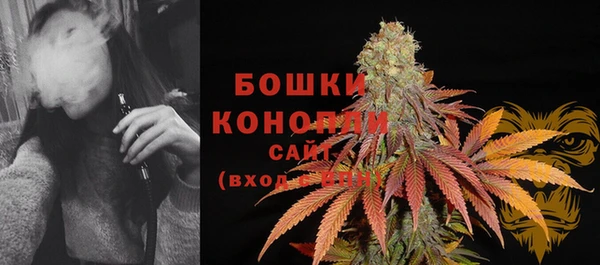 ешки Вяземский
