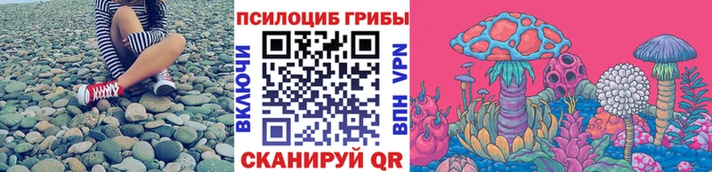 Псилоцибиновые грибы Cubensis  что такое   Хасавюрт 